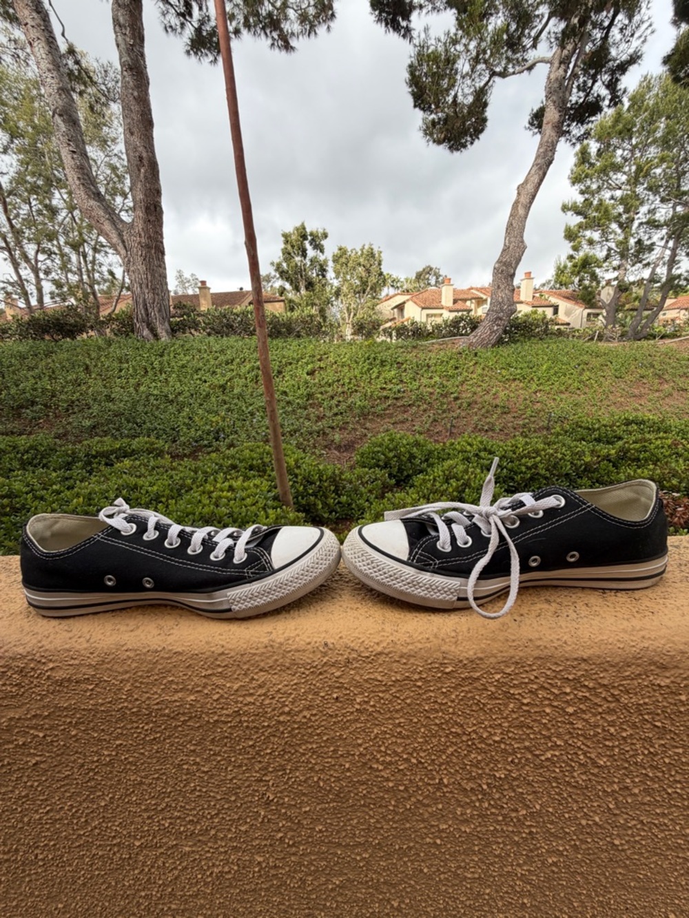 Women’s Black Converse Canvas Low-Top Sneakers